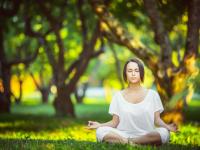 开云体育在线-范弗利特末节狂飙导演逆转好戏 鹈鹕力克马刺显争冠雄心