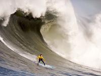 开云体育app-马刺完胜篮网，西亚卡姆扛起全队的战术革命