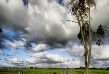 开云体育入口-布克关键时刻站出来，老鹰轻取上海队，一场关于唯一性的胜利