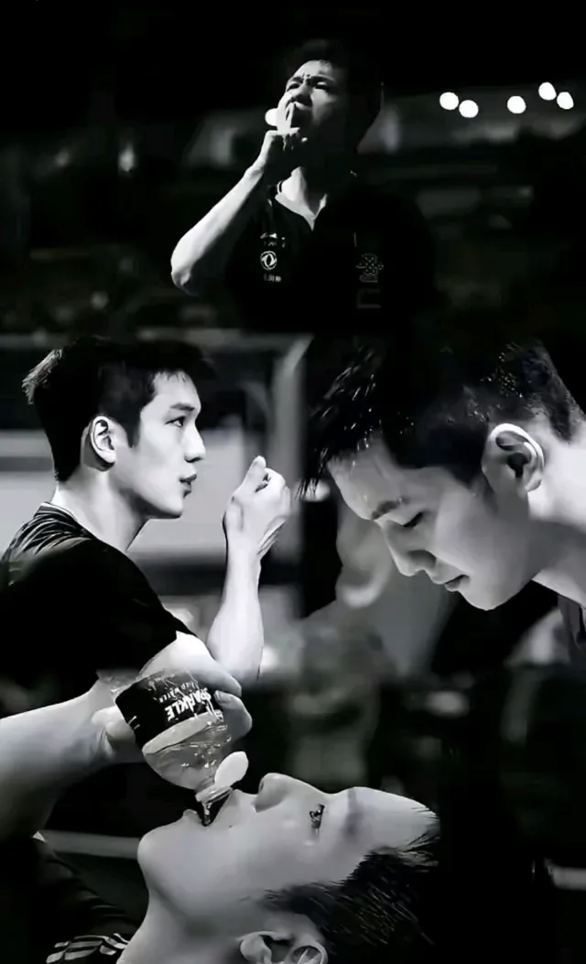 波兰队完胜韩国队，樊振东扛起全队